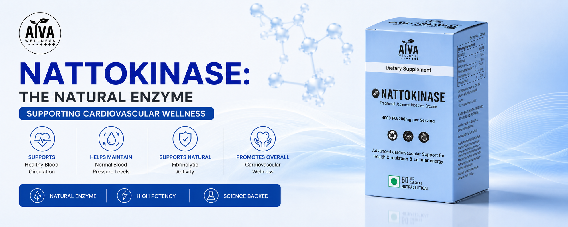Nattokinase enzyme supplement capsules